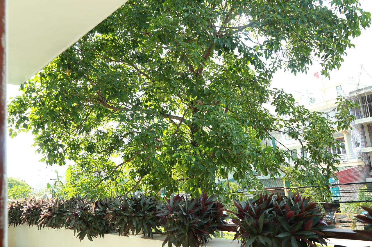 Thien Thanh Hotel Phong Nha Extérieur photo